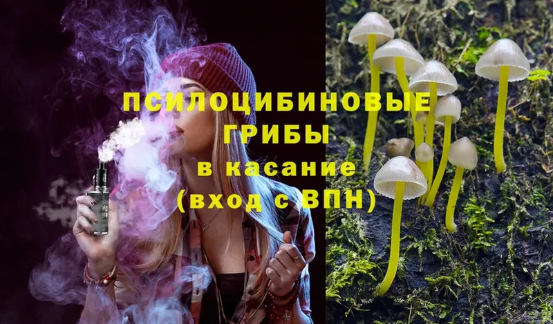 Галлюциногенные грибы MAGIC MUSHROOMS  как найти закладки  omg ONION  Химки 